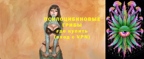 мяу мяу мука Алзамай