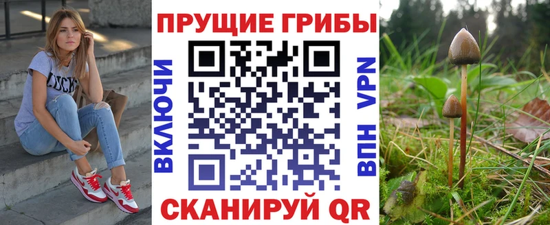 Псилоцибиновые грибы мухоморы как найти закладки Никольское